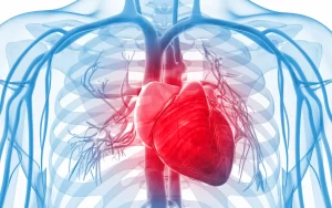 Cardiovascular diseases